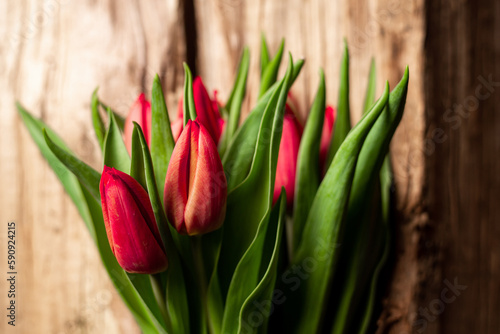 Bouquet of tulips on wooden background. Gift, concept of spring. Mother's Day Greetings.