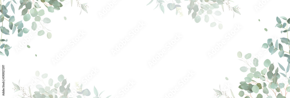Herbal eucalyptus selection vector frame. Hand painted branches, leaves on white background Herbal eucalyptus selection vector frame. Hand painted branches, leaves on white background