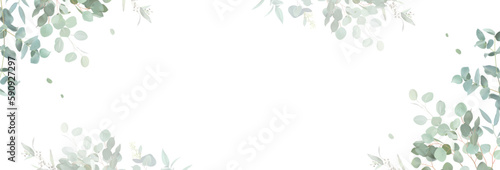 Herbal eucalyptus selection vector frame. Hand painted branches, leaves on white background
