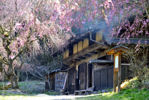中山道　一石栃立場茶屋