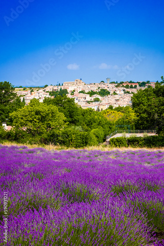 Lavender in front of the city of Valensole in France photo