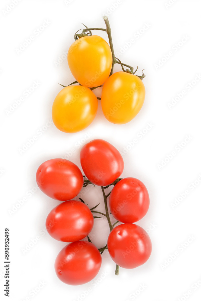 Duet Baby Romanella tomatoes Duet Baby Romanella tomatoes