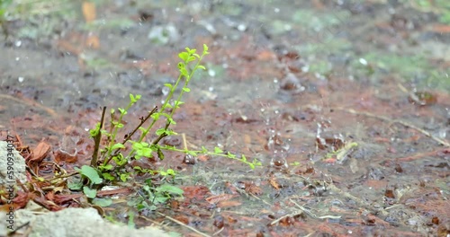 4K Ground and Rain 120 FPS