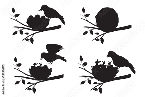 Bird Feeding Worm to Chicks in the Nest. Bird's nest vector illustration