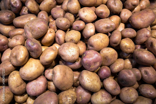 Organic potato in the traditional Colombian market - Solanum tuberosum