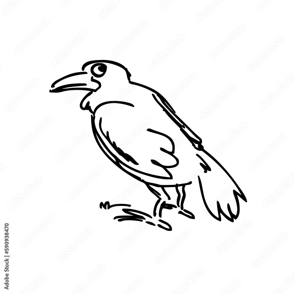 crow doodle sketch icon. hand drawn vector illustration. crow doodle sketch icon. hand drawn vector illustration.