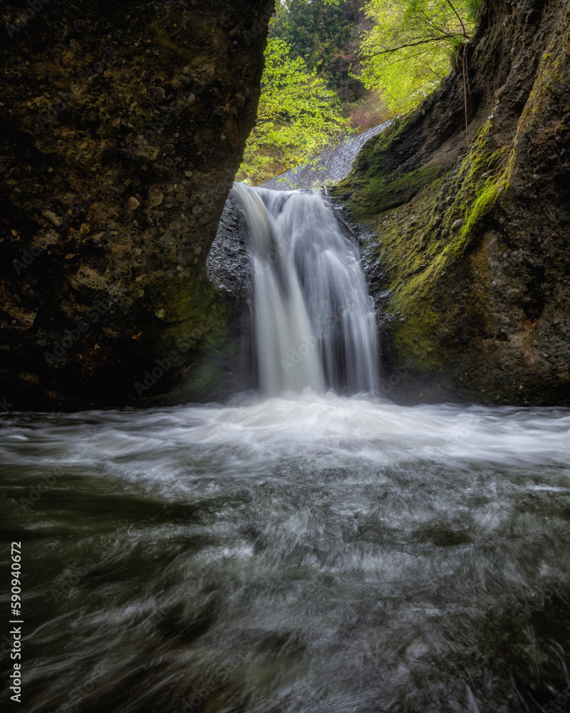 Obraz premium 福島県矢祭町 新緑に包まれる吉野平の不動滝