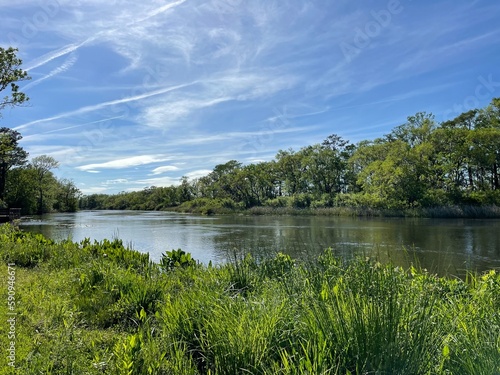 River landscape  sunny day. Brookgreen creek in Brookgreen Gardens 