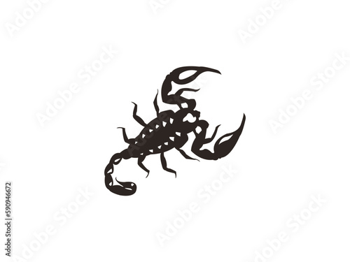 Scorpion illustration on isolated background © Bilal