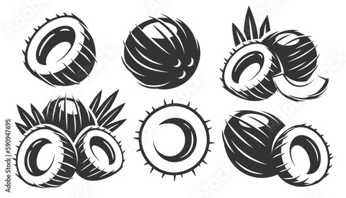 Set of vintage coconut icons isolated on white background. Vector illustration