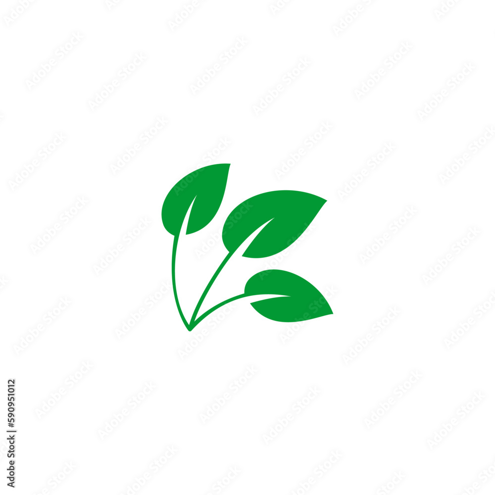 fresh green leaf design vector