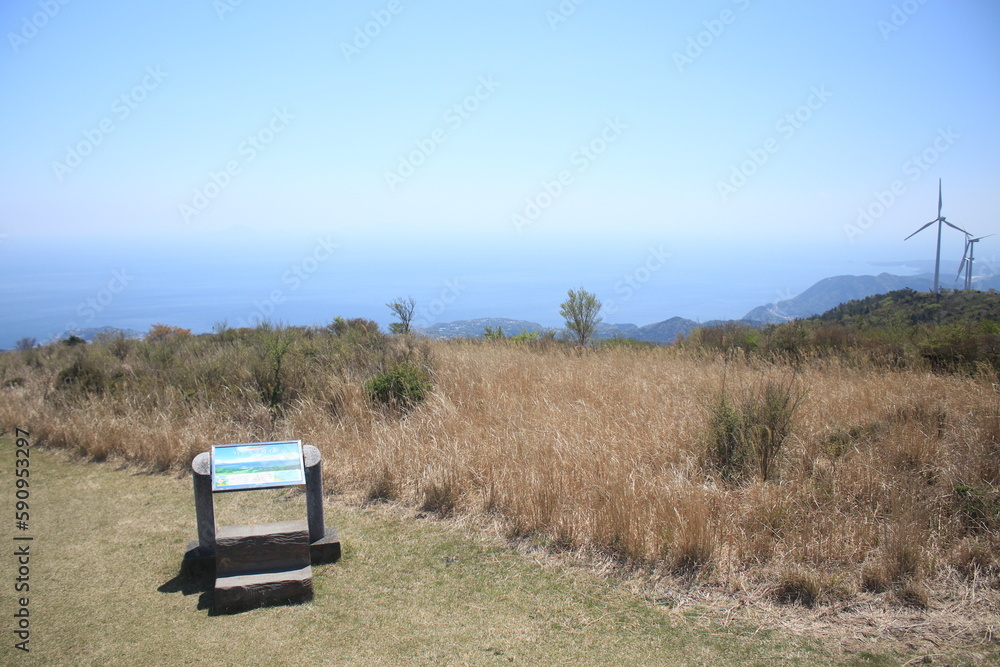 稲取細野高原