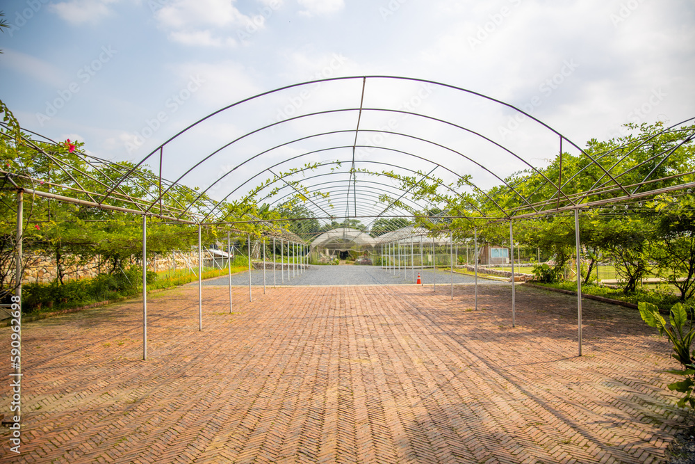 greenhouse with flowers