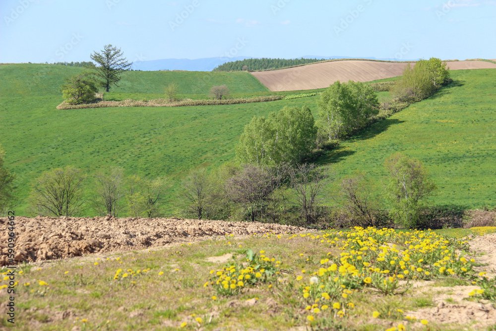 春の畑と緑の丘陵地帯
