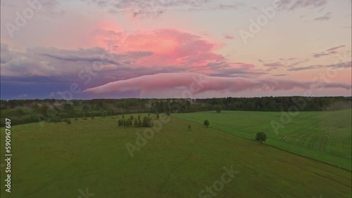 Wallpaper Mural Aerial drone forward moving shot over beautiful green fields on the outskirts of a forest during evening time. Torontodigital.ca