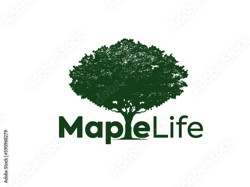 Beautiful oak, olive and maple trees silhouette set on green background. Modern isolated vector sign. Premium quality illustration logo design concept.
