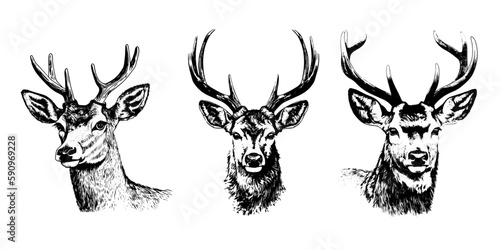 portrait realistic deer tattoo isolated black and white vector clip art background. emblem portrait realistic deer tattoo isolated black and white vector clip art background.