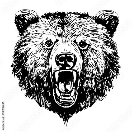 portrait realistic angry grizzly bear tattoo isolated black and white vector clip art background. emblem logo portrait realistic angry grizzly bear tattoo isolated black and white vector clip art