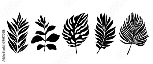 Beautiful palm tree leaf set silhouette background vector illustration 21