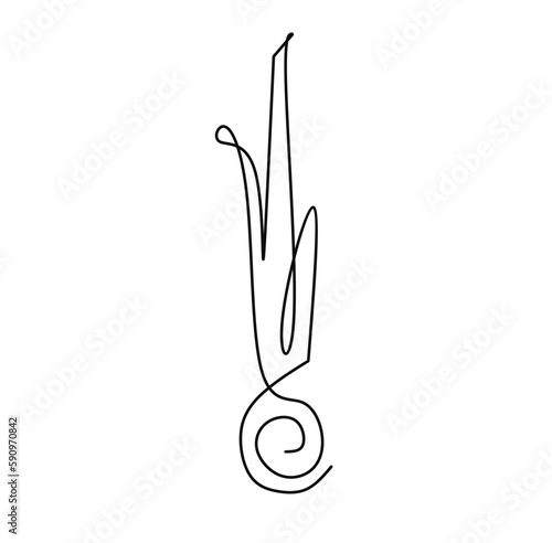 Single continuous line drawing of whole healthy organic lemongrass