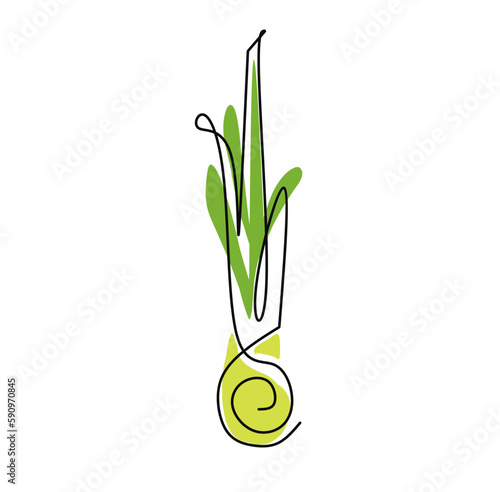 Single continuous line drawing of whole healthy organic lemongrass