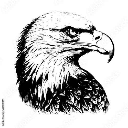 portrait realistic American Bald eagle tattoo isolated black and white vector clip art background. realistic American Bald eagle tattoo isolated black and white vector clip art emblem background