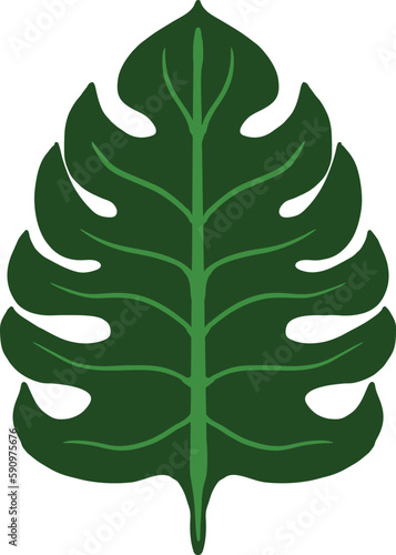 Leaf plant garden vector illustrations