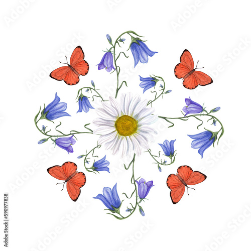 Watercolor illustration of campanula  daisy and butterflies isolated on transparent background. Perfect as template for different cards  patterns   invitation