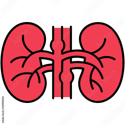 Kidney Icon, Line Filled Icon Style, Renal Urology Symbol Vector Stock.