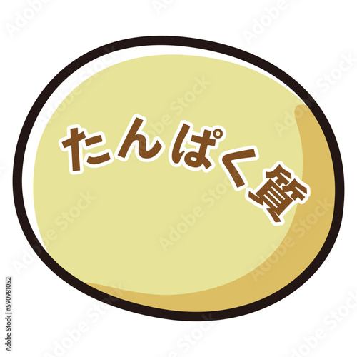 たんぱく質のイメージイラスト