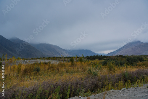 beautiful scenery: mountains and trees in Yarab Tso valley, Leh Ladakh - India © Nhan