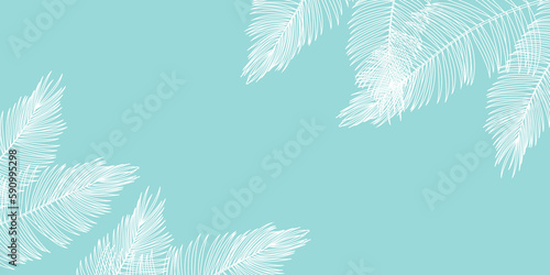 ヤシの葉　暑中見舞い　夏　背景