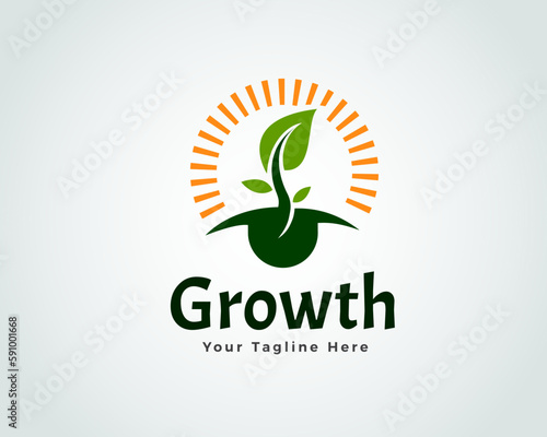 abstract seed grow under sun logo symbol icon design template illustration inspiration