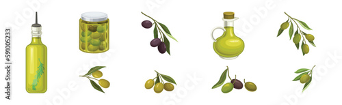 Fresh and Ripe Olive Black and Green Fruit Vector Set