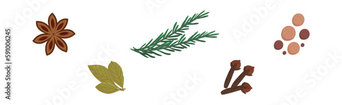 Spice and Seasoning for Food Flavour Vector Set