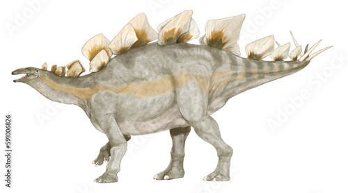 剣竜類中最大の恐竜であり、恐竜の中でもよく知られている草食恐竜。いくつかの個体の化石が同じ場所で発見されており、集団行動が推定される。 集団で行動していた © Mineo