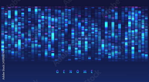 DNA genomic test, genome map.