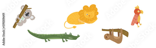 Funny African Animals and South Fauna Vector Set