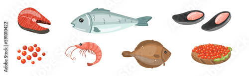 Different Seafood with Caviar, Oyster, Salmon and Shrimp Vector Set