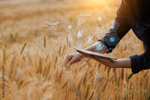 Wall Mural Farmer using digital tablet computer and modern interface icons with light shines sunset, Business agriculture technology concept