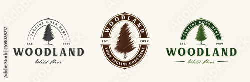 Pine tree logo emblem set. Tree logo badge vintage rustic vector design isolated