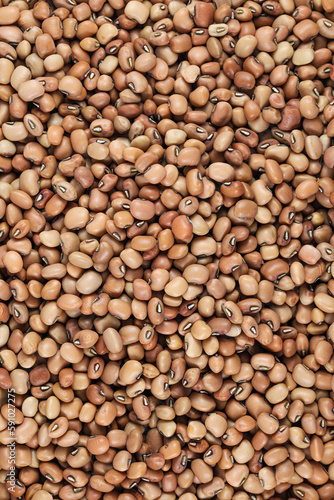 Brown cowpeas   Brown crowder peas  Yunakesa Brown Crowder Cowpea  Dixie Lee Pea 