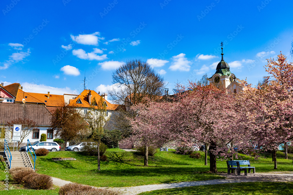 Fototapeta premium Springtime view of Tyn nad Vltavou, Czechia.
