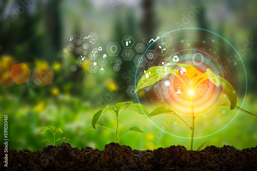 Agricultural technologies for growing plants and scientific research in the field of biology and chemistry of nature. Living green sprout in the hands of a farmer. Organic digital background