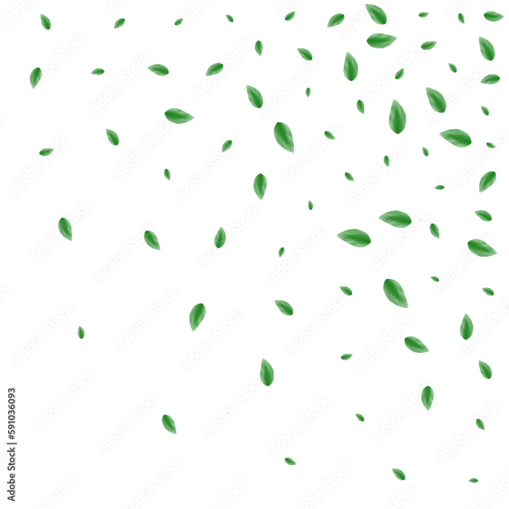 Greenish Leaf Background White Vector. Plant Subtle Design. Growing Illustration. Light Green Abstract Texture. Leaves Spring. Greenish Leaf Background White Vector. Plant Subtle Design. Growing Illustration. Light Green Abstract Texture. Leaves Spring.