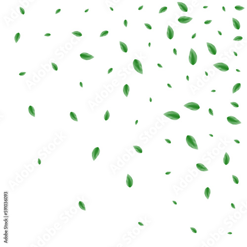 Greenish Leaf Background White Vector. Plant Subtle Design. Growing Illustration. Light Green Abstract Texture. Leaves Spring.