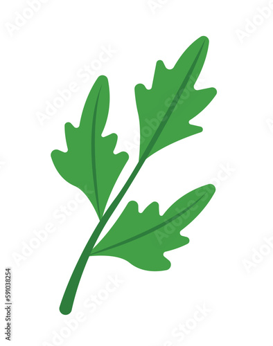 Concept BBQ arugula salad. This is a vector cartoon illustration of an arugula salad with a white background. It describes the cozy atmosphere of a picnic and barbecue. Vector illustration.