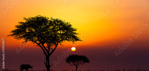 Silhouettes of african wild animals at sunset. Evening in African savanna.