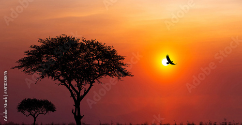 Canvas Print Silhouettes of african wild animals at sunset