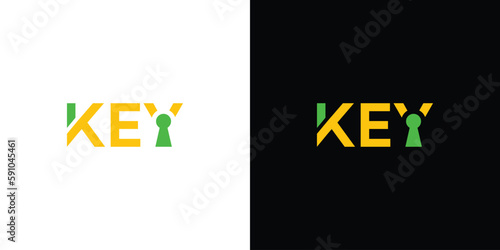 Unique and modern key logo design